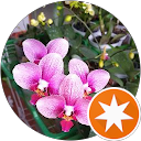 Sekar Anggrek Solo profile picture