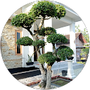 arif syaifudin profile picture